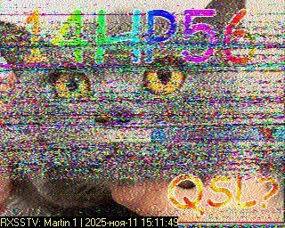 2025-11-11_15.11.49