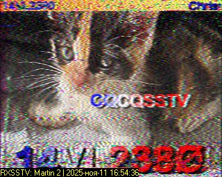 2025-11-11_16.54.36
